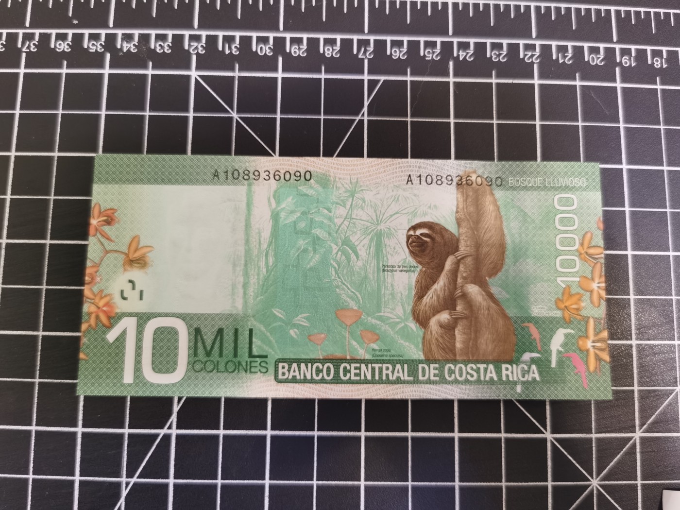 Immortal auction(精品场) 哥斯达黎加10M，纸版，A冠，Unc