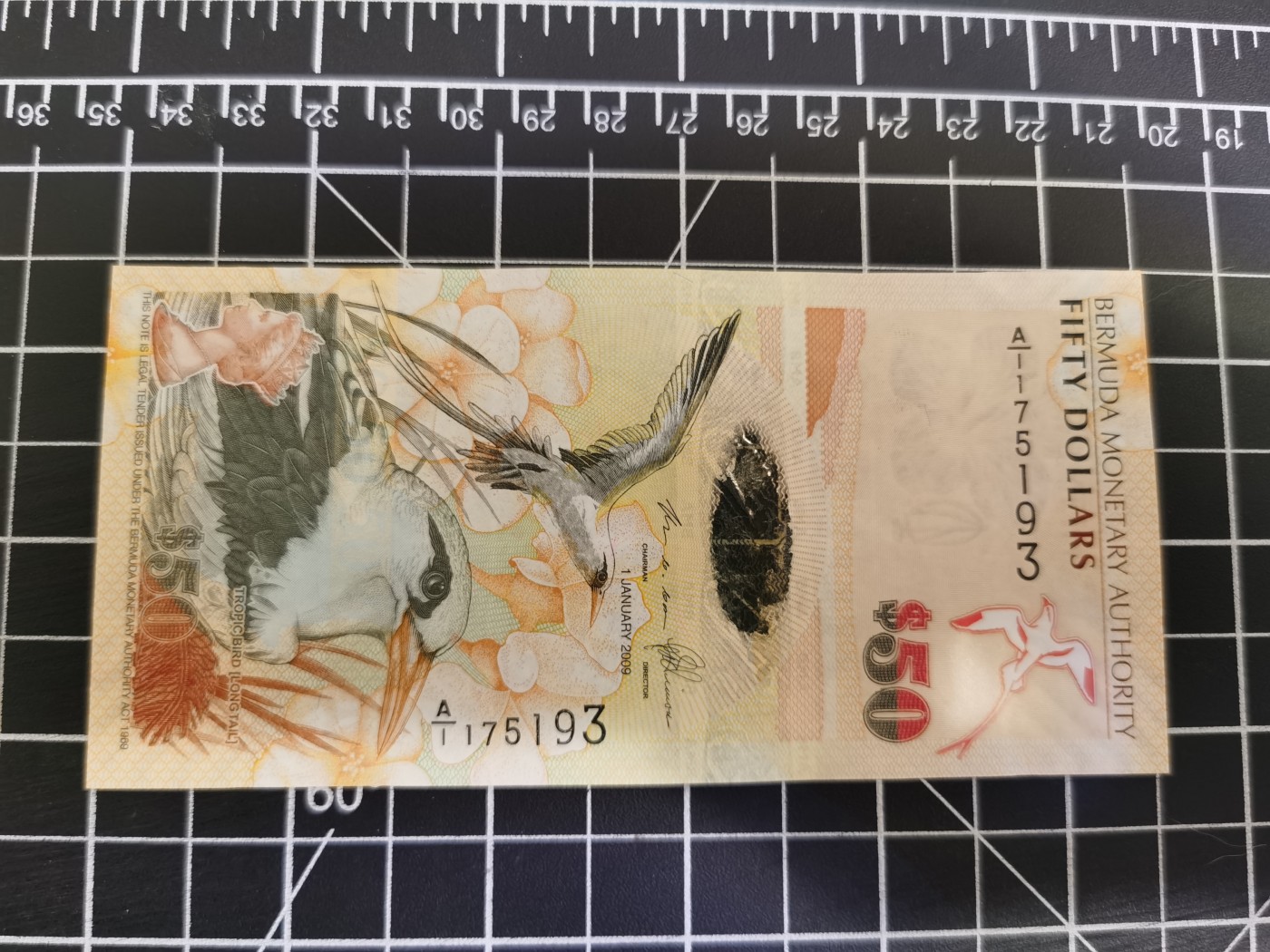 Immortal auction(精品场) 百慕大50，A1，Unc