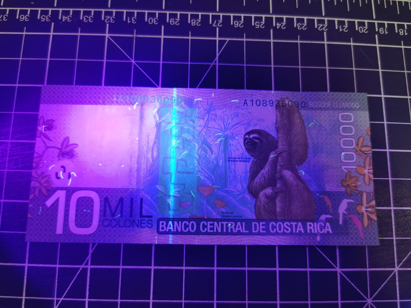 Immortal auction(精品场) 哥斯达黎加10M，纸版，A冠，Unc