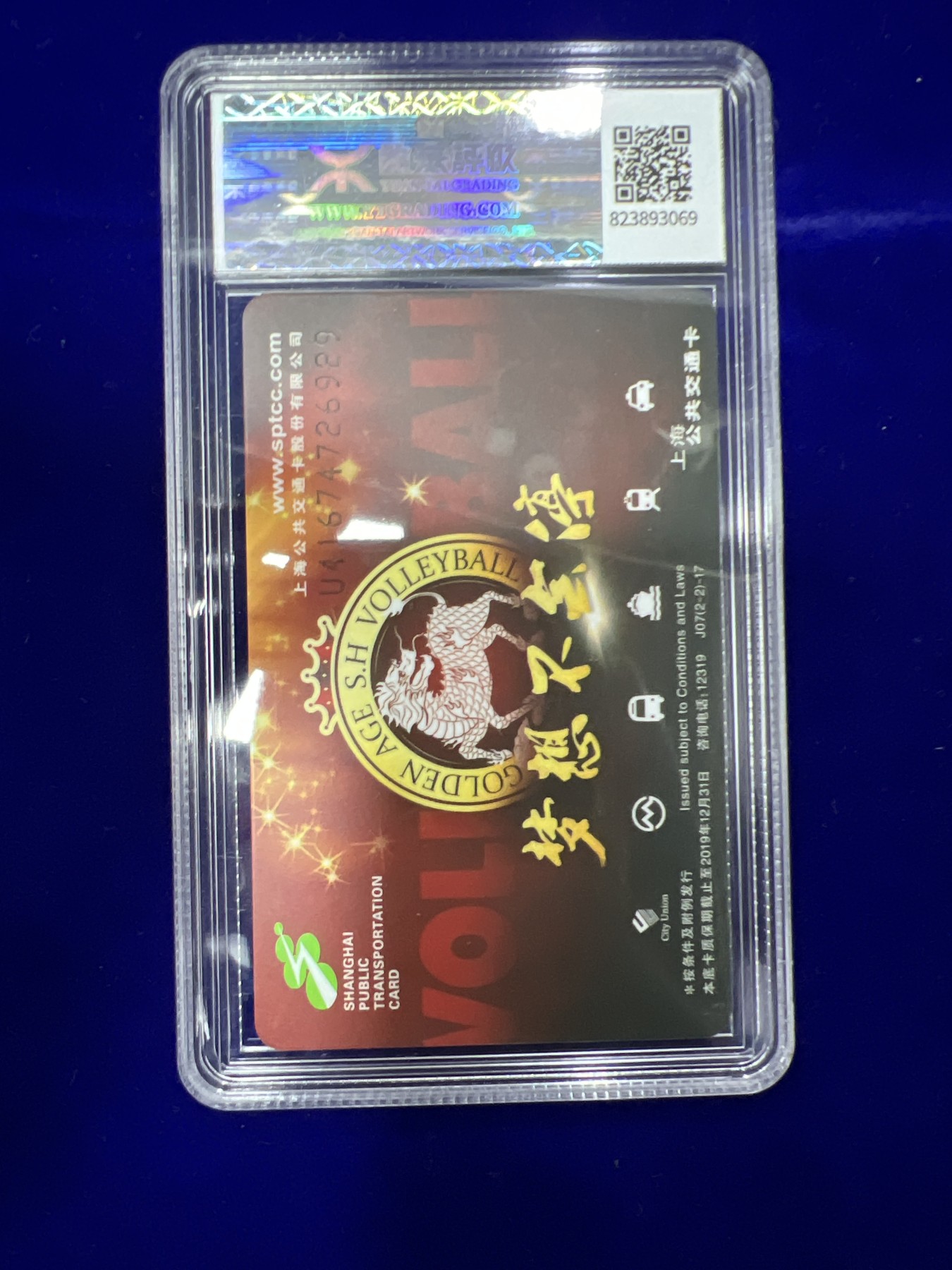 飞翔风筝第九场 球星卡 宝可梦 球星卡排球三连冠