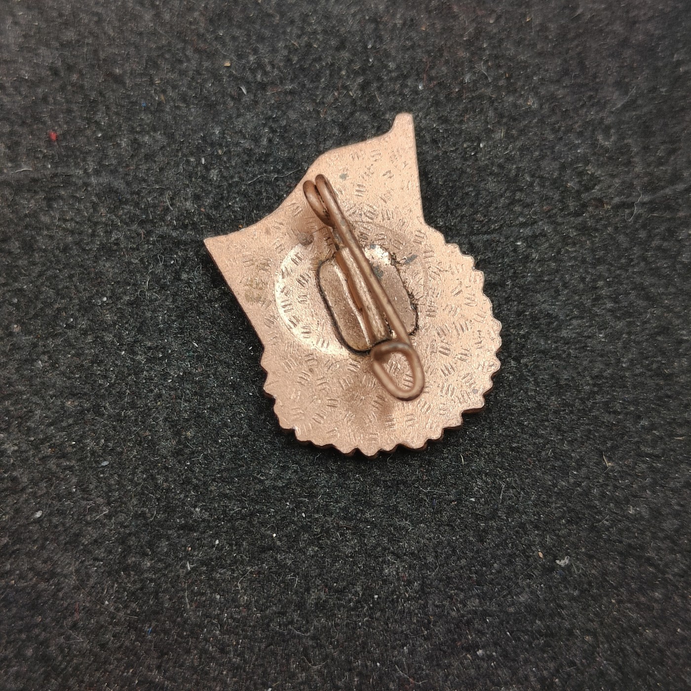 全场0元起拍 第128期 咸鱼国勋章拍卖专场 1月24日（周三）下午6：00开始 东德fdj证章 稀有珐琅制