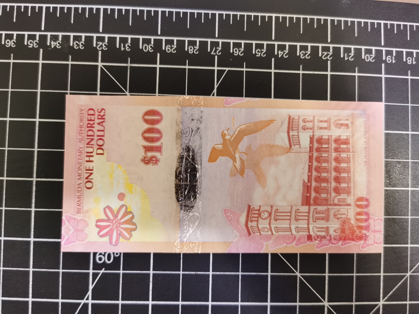 Immortal auction(精品场) 百慕大100，洋葱冠千位号，Unc