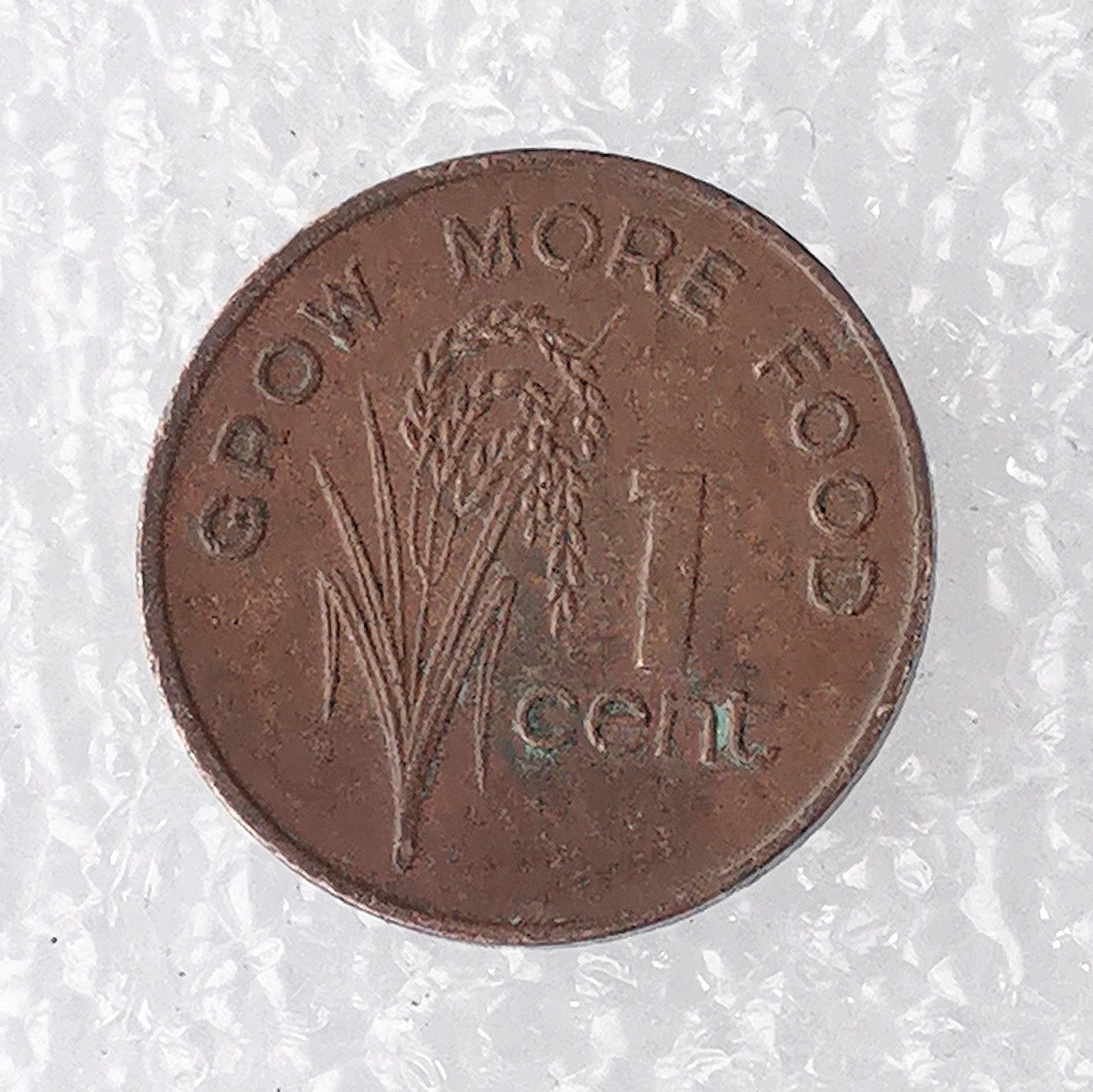 海外回流1元起拍小铺 各国钱币散币场 第7期 斐济1979年1分铜币