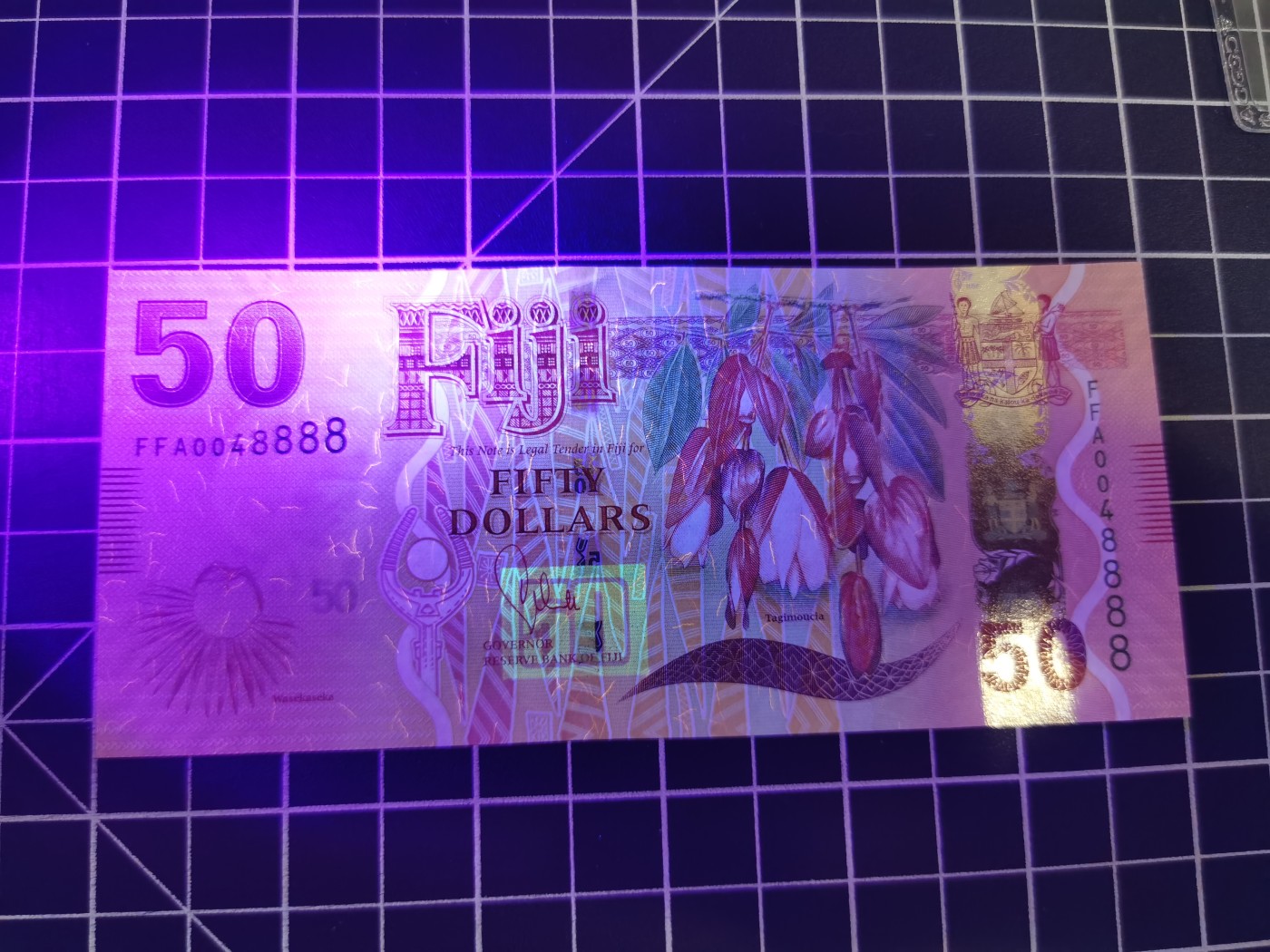 Immortal auction(精品场) 斐济50，狮子号（8888），Unc