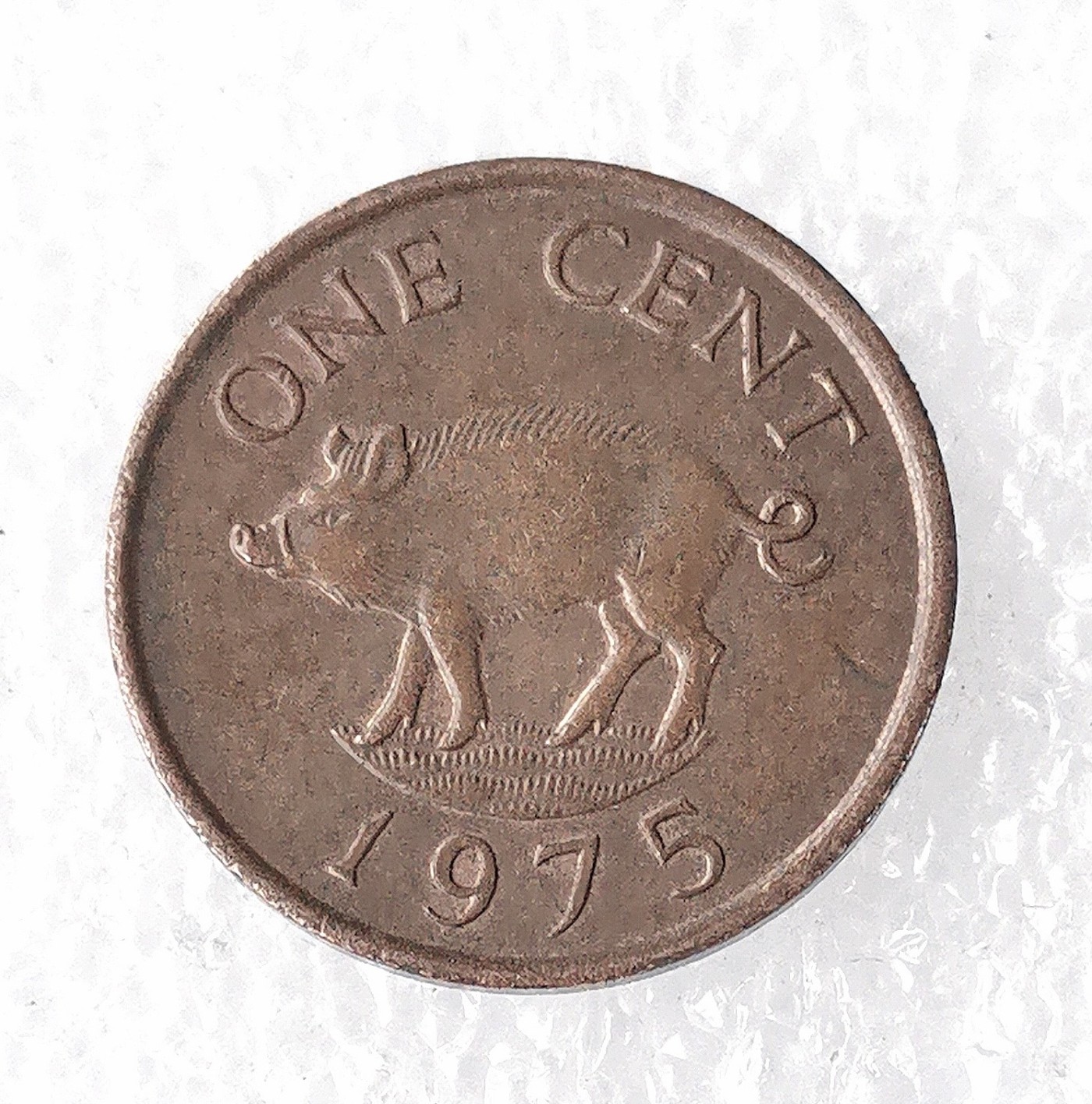 海外回流1元起拍小铺 各国钱币散币场 第7期 百慕大1975年1分