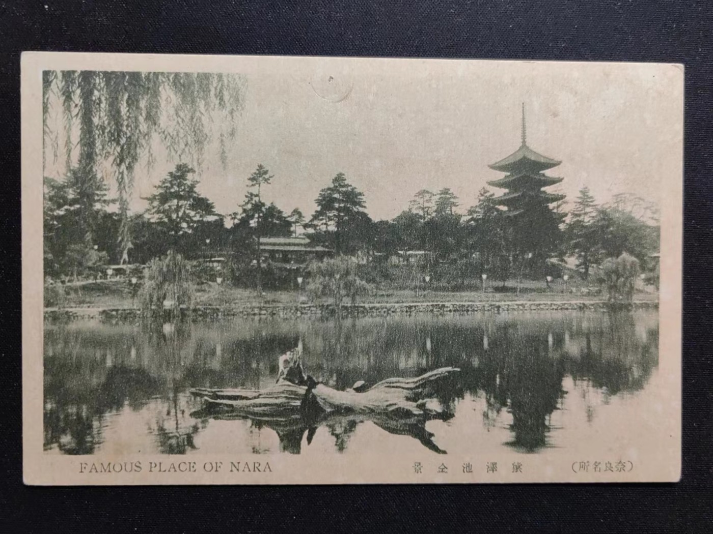 多国古典明信片✌（拍卖场）精品🔥专场 第④④场 日本古典明信片