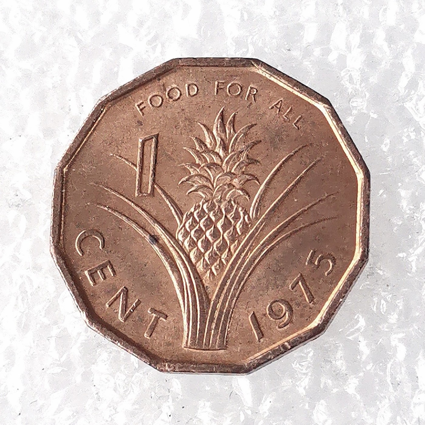 海外回流1元起拍小铺 各国钱币散币场 第7期 斯威士兰1975年1分粮农组织凤梨青铜币