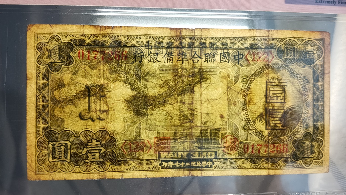 每日随心拍022 <混拍>
