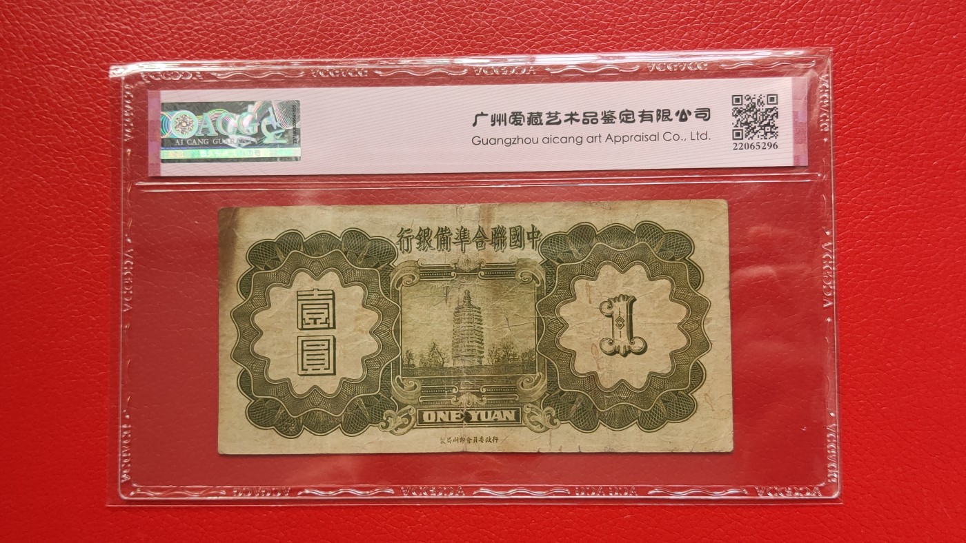 每日随心拍022 <混拍>
