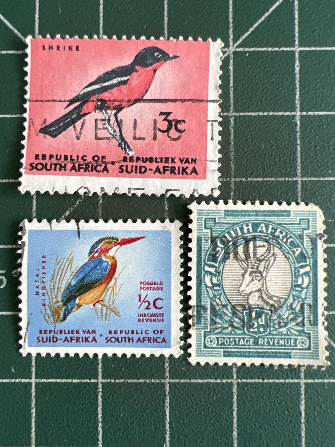 第516期  邮票专场 （无押金，捡漏，全场50包邮，偏远地区除外，接收代拍业务） 南非邮票