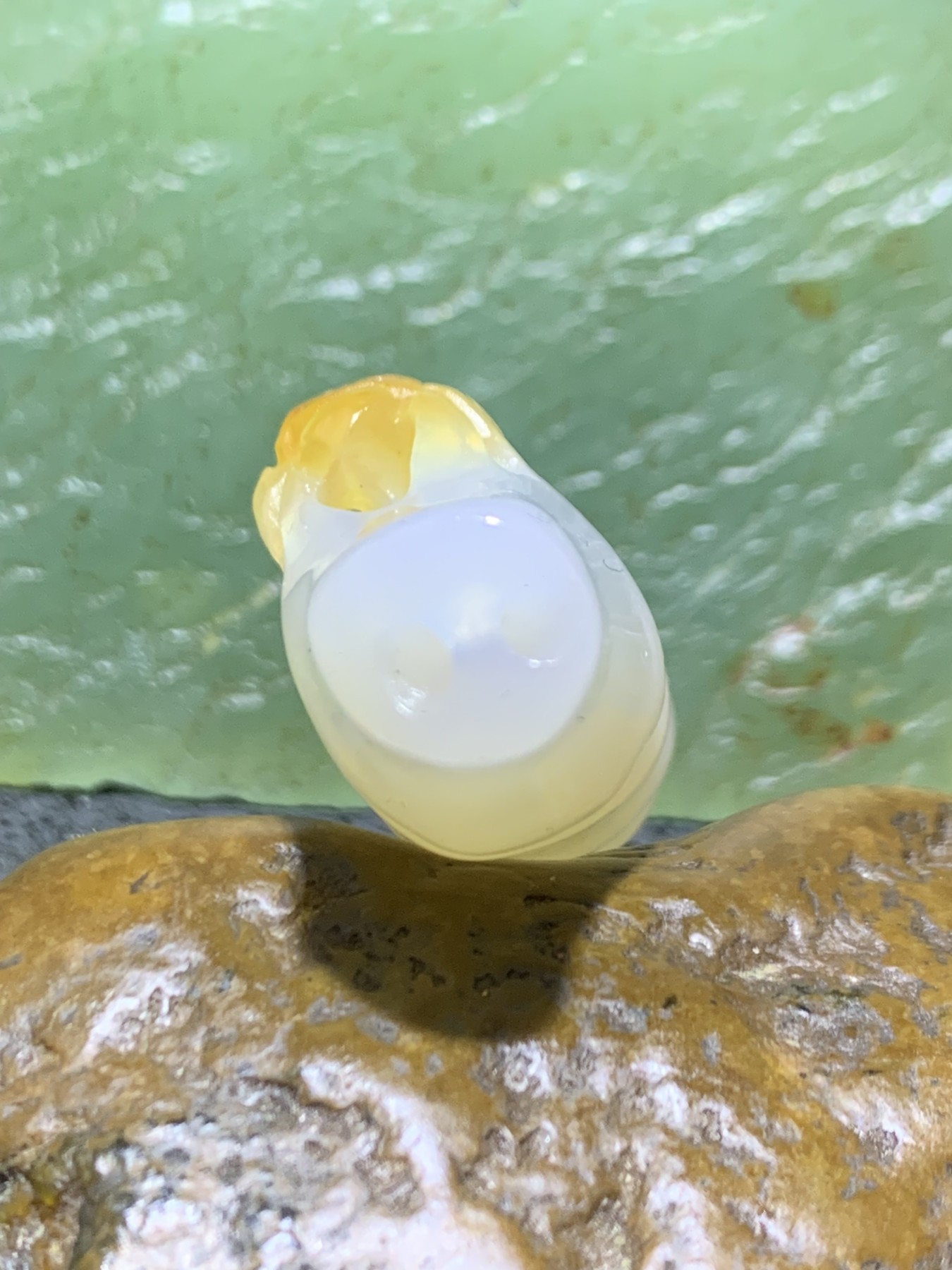 精美手工雕刻天然原皮马达加斯加玛瑙俏色巧雕随形竹节蜘蛛吊坠(把件)一个