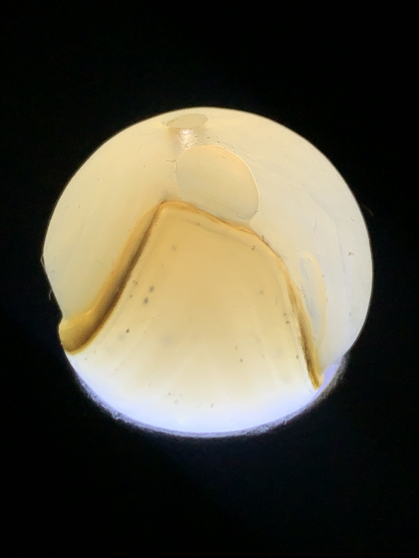 精美亚光高玉化海洋玉髓手工俏色巧雕无相佛意境2.0圆珠一个