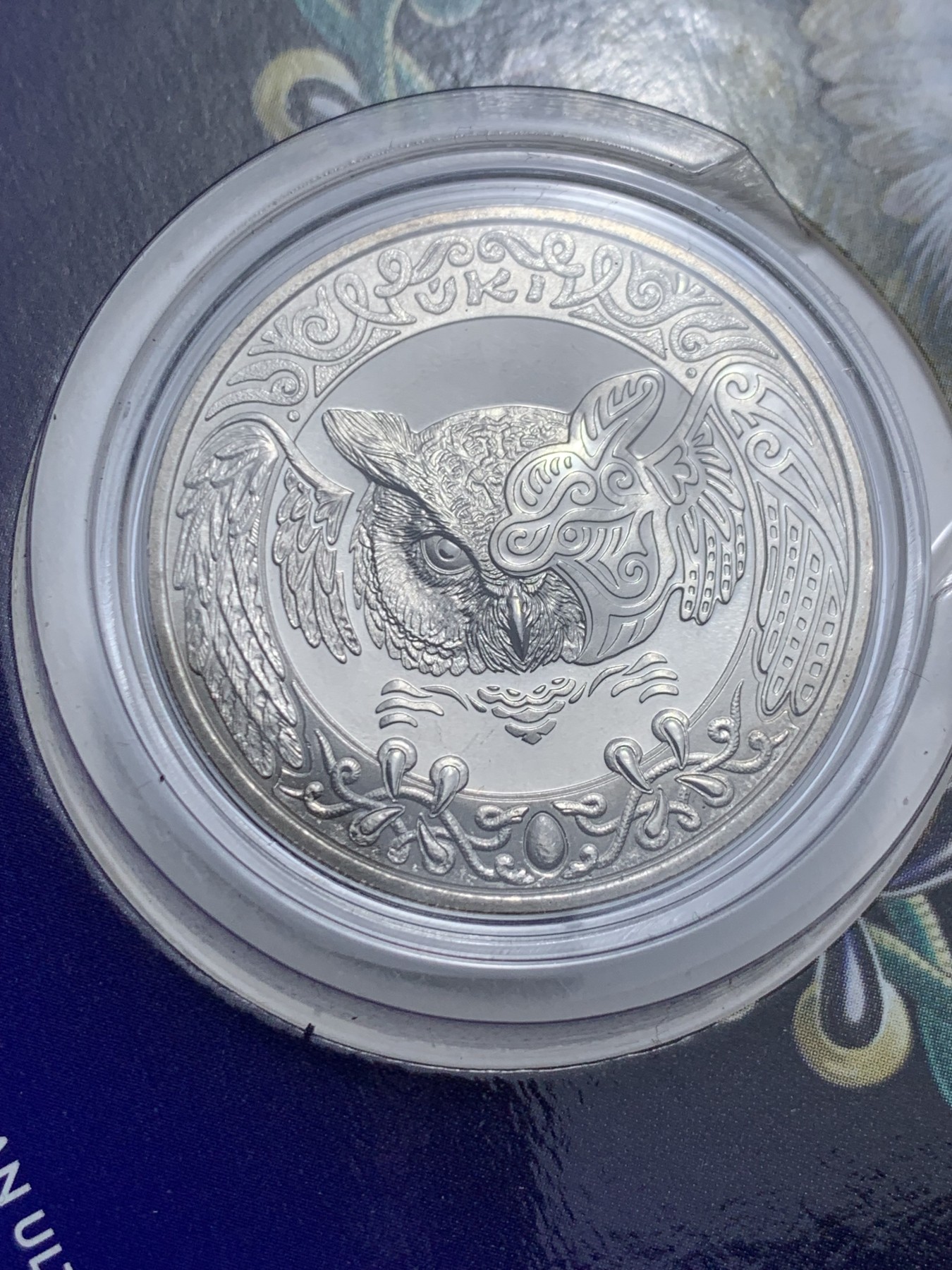 《竞宝斋》第238场-周日，周一，周二，周三 疯狂4连拍 (全场包邮) 哈萨克斯坦 2019 100坚戈 猫头鹰 纪念币 发行2万枚