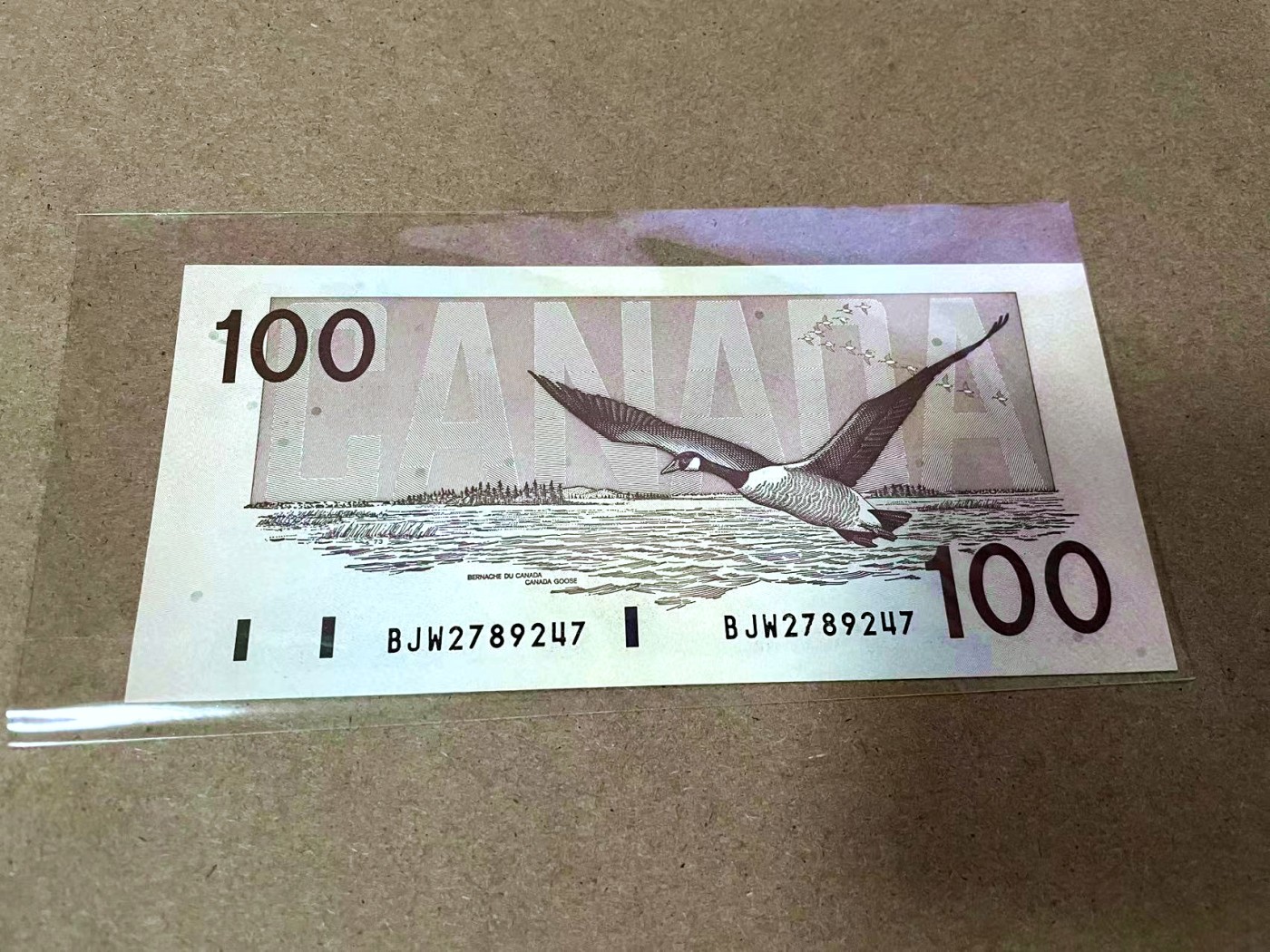 【Blue Auction】✨世界纸币精拍第425期【精】 加拿大 1988年100元 UNC- 轻微角软折