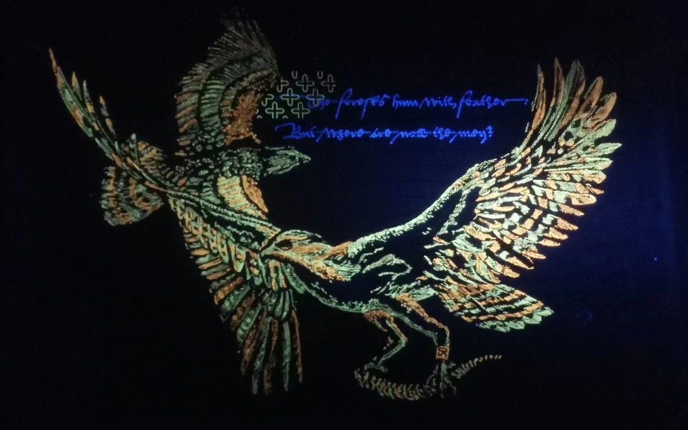 《外钞收藏家》第三百三十四期（连拍第一场） 苏格兰🏴󠁧󠁢󠁳󠁣󠁴󠁿50镑AA首发冠🈚️3457靓号 PMG67