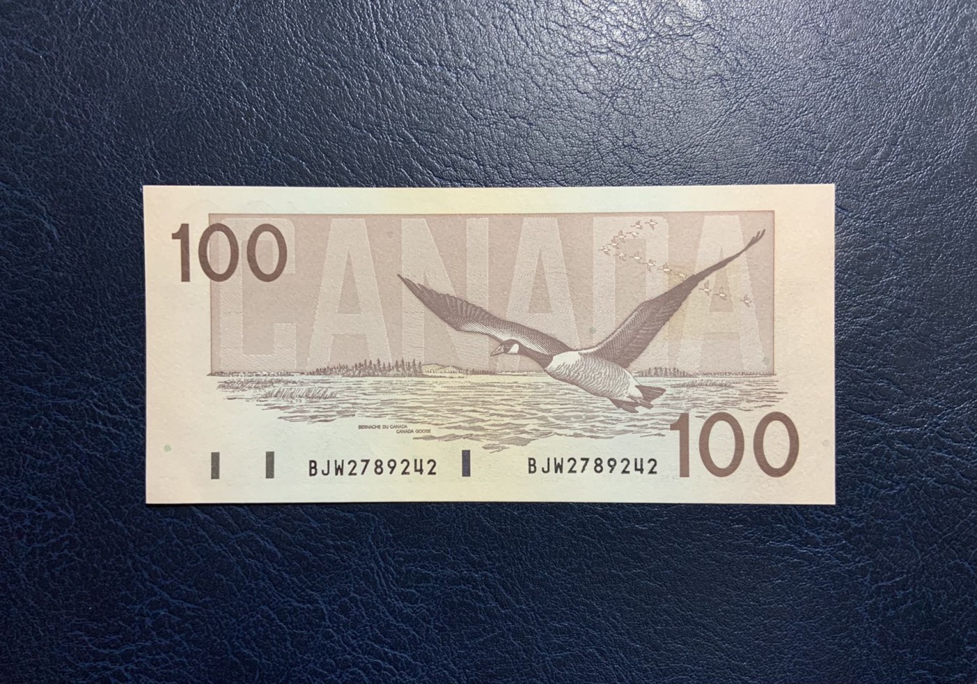 收藏联盟Quantum Auction 第320期拍卖  加拿大1988年100元 品相UNC 角微瑕 加拿大总理 政治家波顿爵士