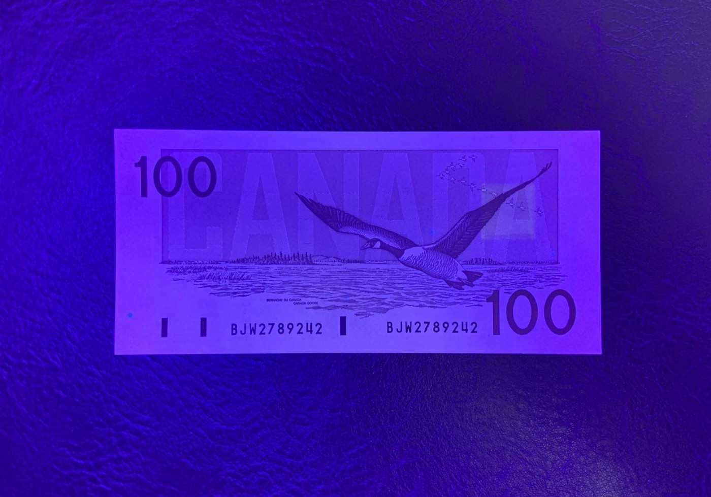 收藏联盟Quantum Auction 第320期拍卖  加拿大1988年100元 品相UNC 角微瑕 加拿大总理 政治家波顿爵士