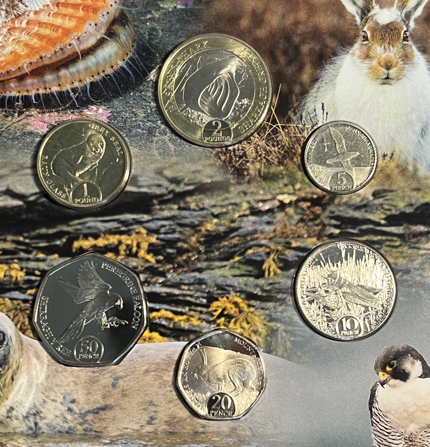 S&S Numismatic世界钱币-拍卖 第114期 