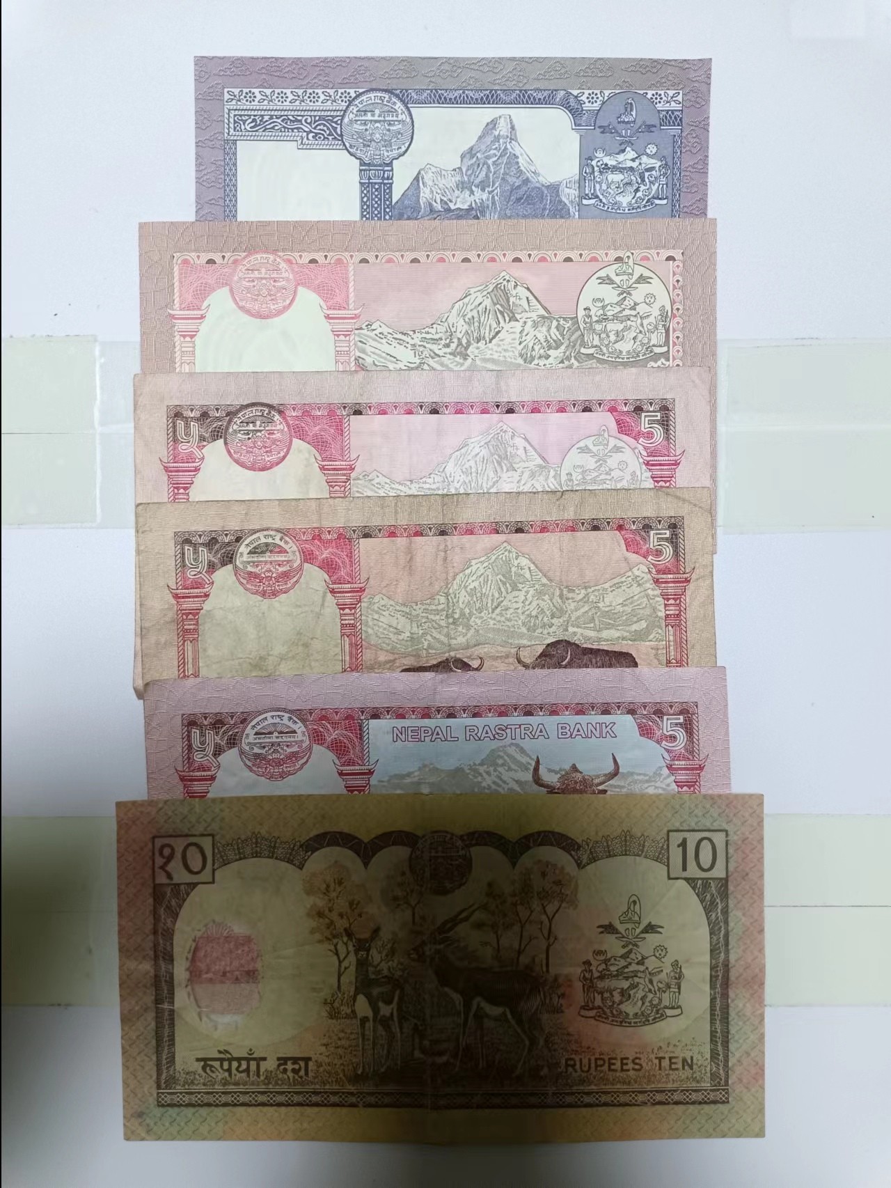 【20230131】非全新纸币第111场 尼泊尔6张纸币各为不同版本
