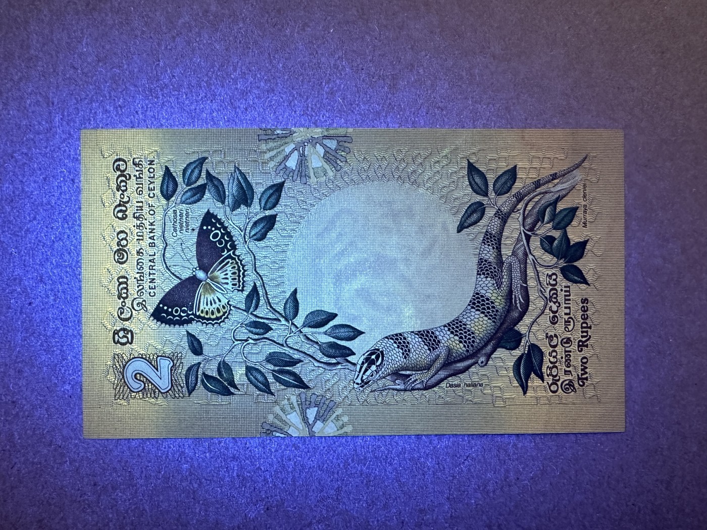 《张总收藏》136期-节前外币高货场 锡兰2卢比 UNC 1979年版