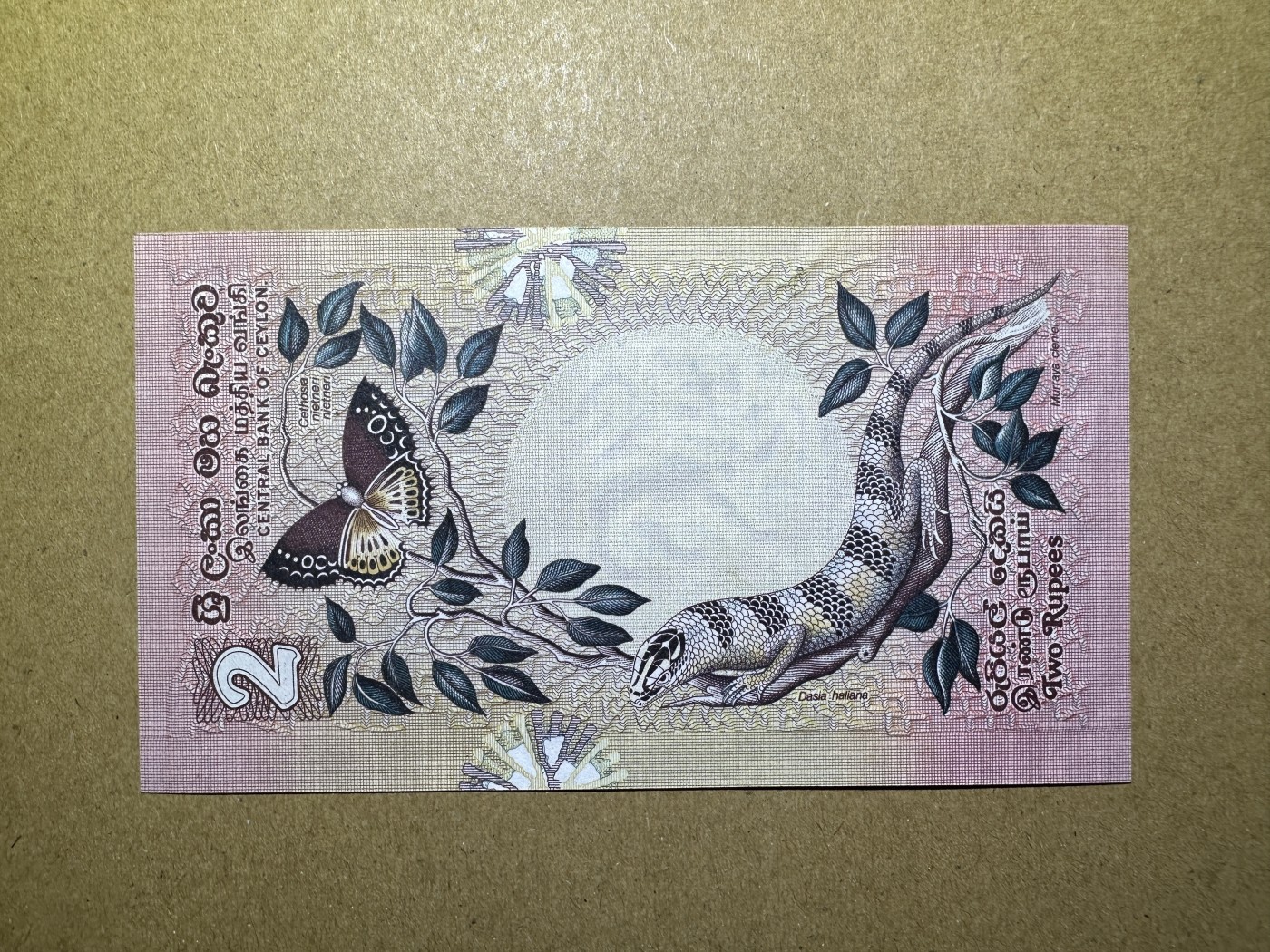 《张总收藏》136期-节前外币高货场 锡兰2卢比 UNC 1979年版