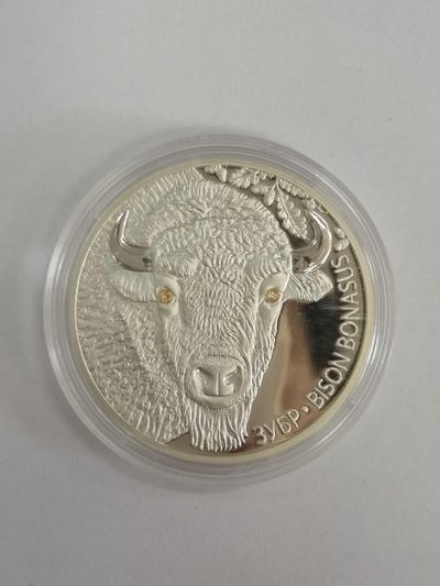 康怡轩钱币【图瓦卢+匈牙利+加拿大+白俄罗斯 纪念币专场】第251006期  2012年白俄罗斯发行野牛20卢布镶水晶精制纪念银币（1头）裸币+证书