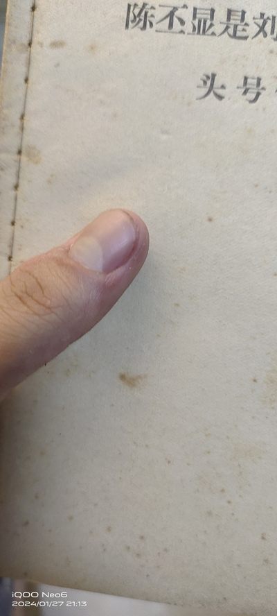 大庆红藏第12场 - 小楷本经典晨不显