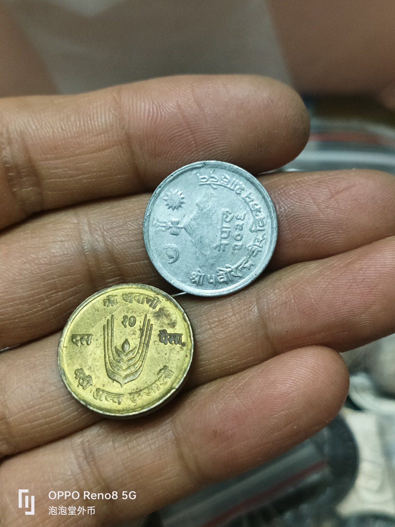 泡泡堂微拍第301幕捡漏可累计专场👿👿，累计满五十元包邮，接受代拍业务 尼泊尔牛两种