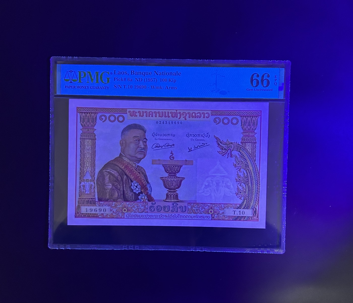 【丑猫0201】今晚六点半 老挝猪哥