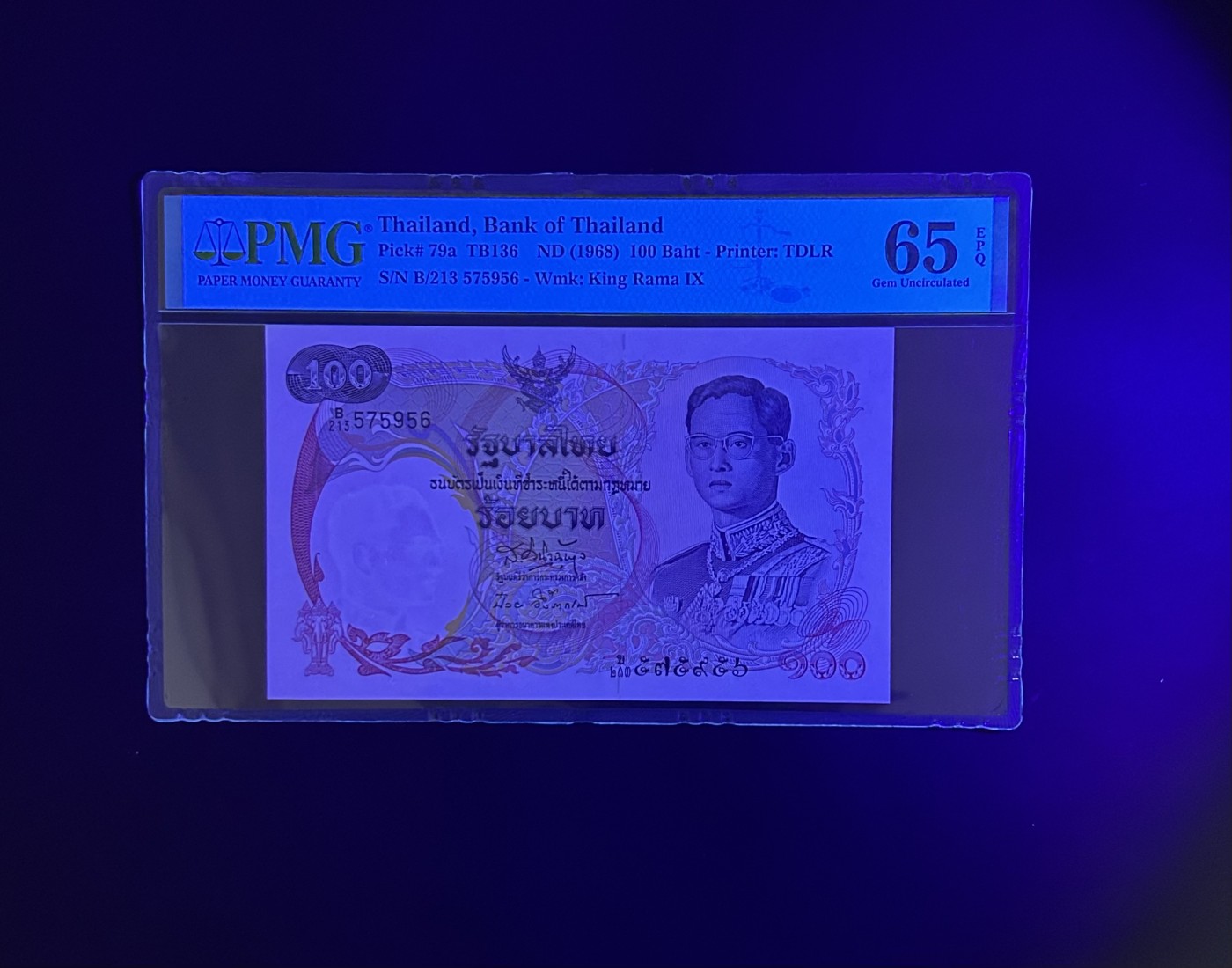 【丑猫0201】今晚六点半 名誉品.天鹅船