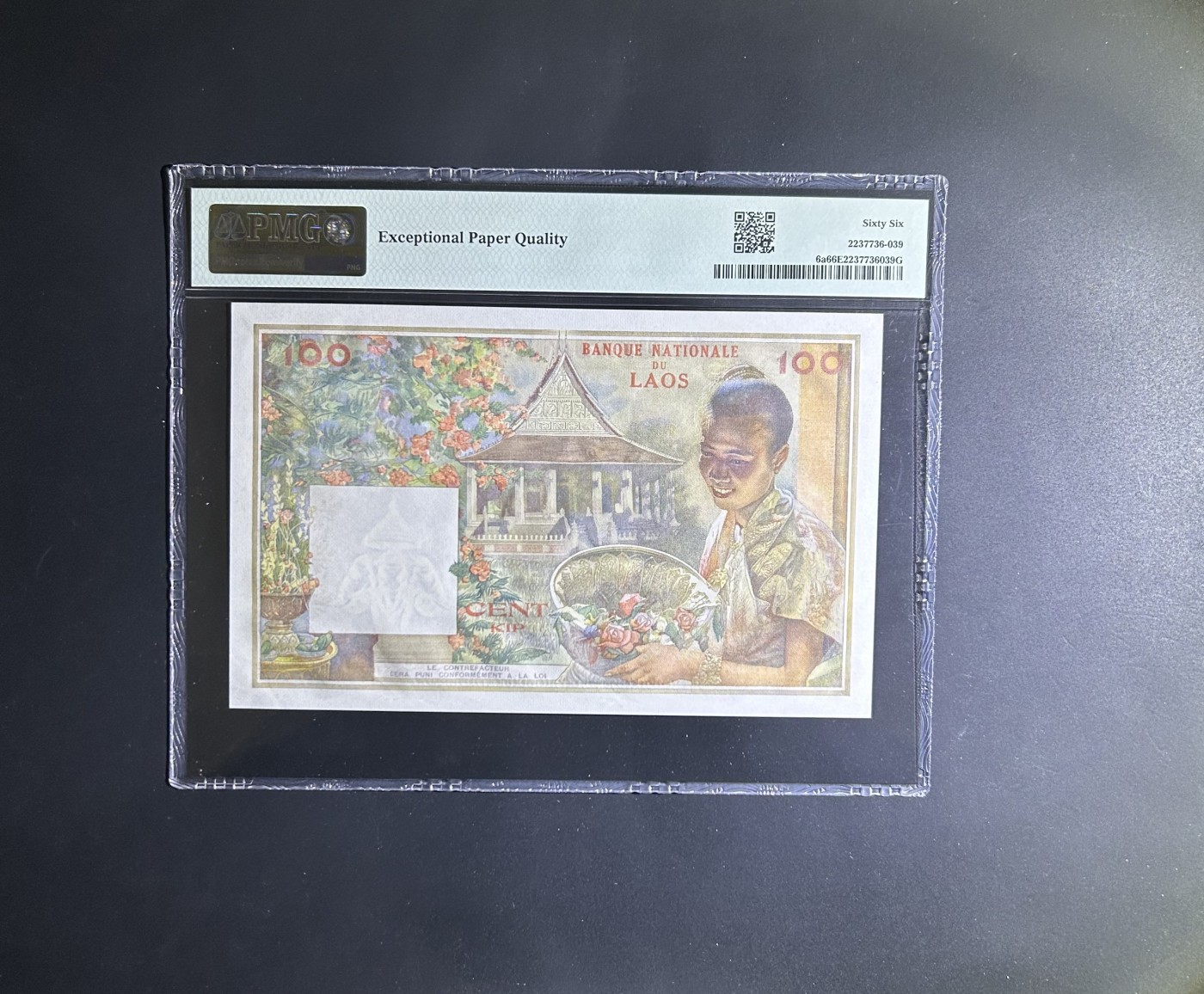 【丑猫0201】今晚六点半 老挝猪哥