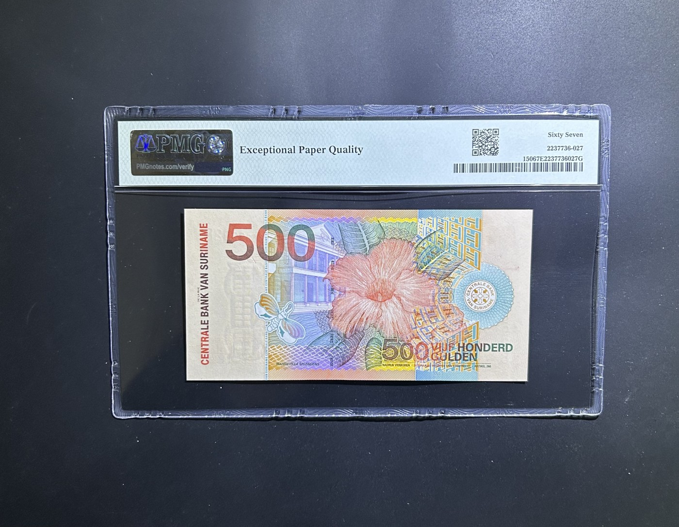 【丑猫0201】今晚六点半 苏里南500【299928】