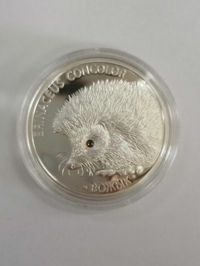 康怡轩钱币【图瓦卢+匈牙利+加拿大+白俄罗斯 纪念币专场】第251006期  2011年白俄罗斯发行小刺猬20卢布镶水晶精制纪念银币（1只） 裸币+证书