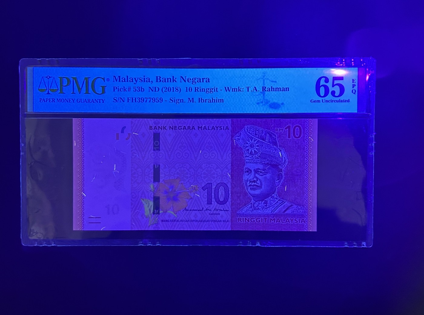 【丑猫0201】今晚六点半 马来西亚10