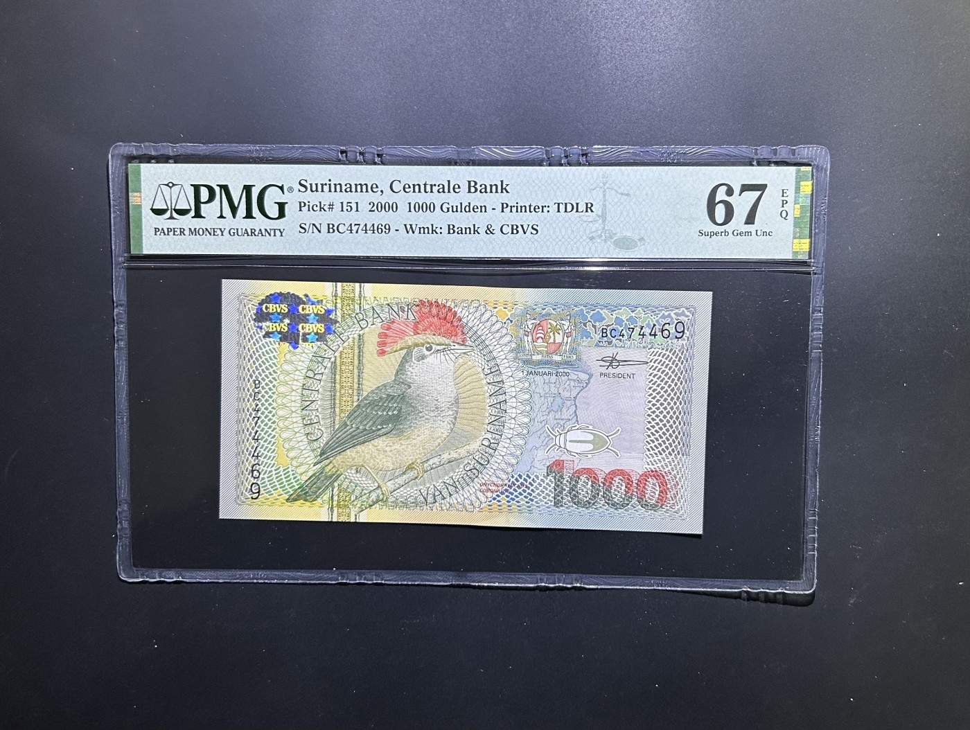 【丑猫0612】今晚7点整 苏里南1000