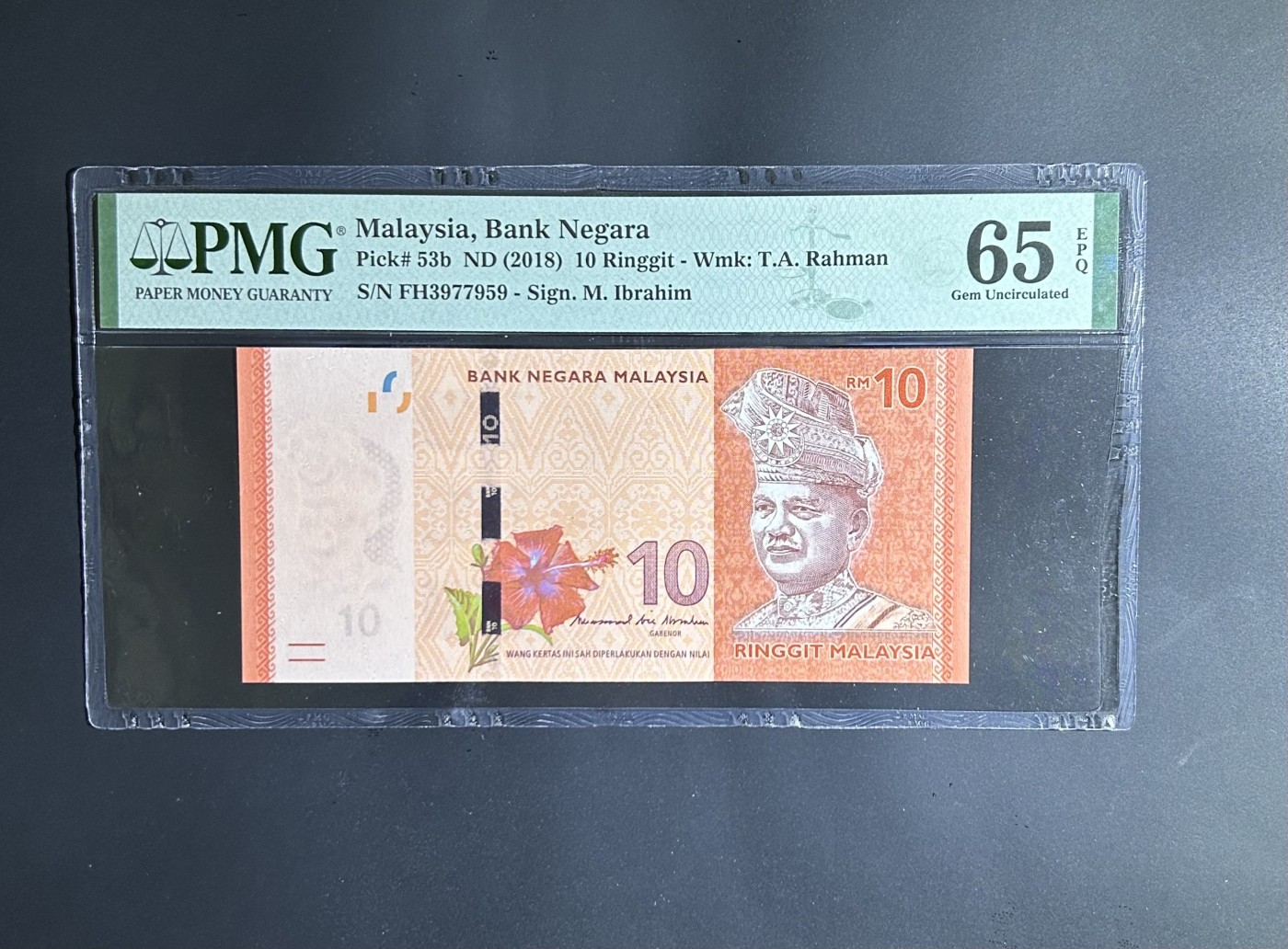 【丑猫0201】今晚六点半 马来西亚10