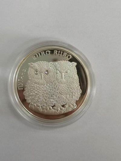 康怡轩钱币【图瓦卢+匈牙利+加拿大+白俄罗斯 纪念币专场】第251006期  2010年白俄罗斯发行猫头鹰20卢布镶水晶精制纪念银币（2只） 裸币+证书