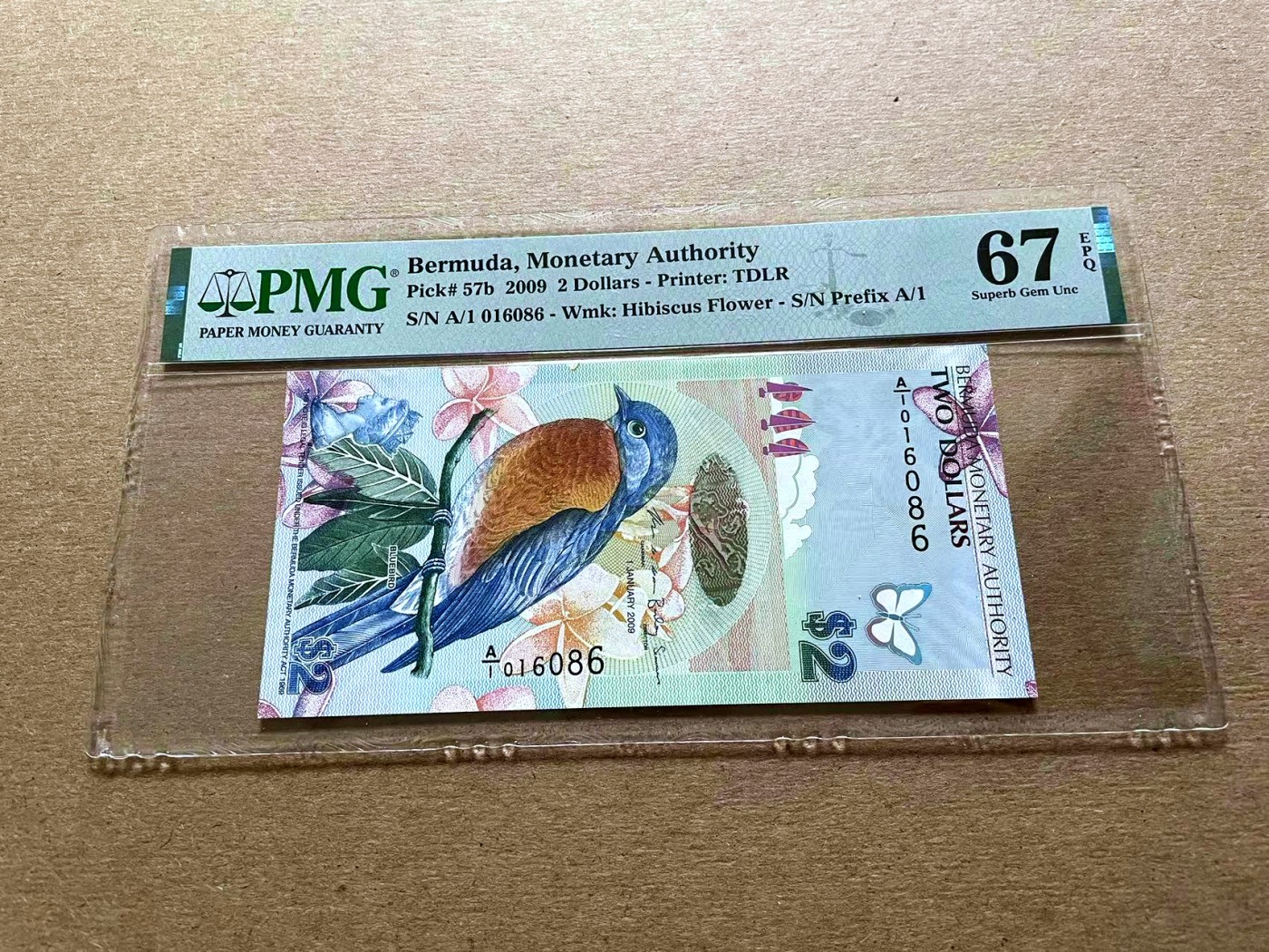 【Blue Auction】✨世界纸币精拍第427期【精】  【A/1冠 倒置号 获奖钞】百慕大 2009年2元 蓝鸟 PMG67EPQ  