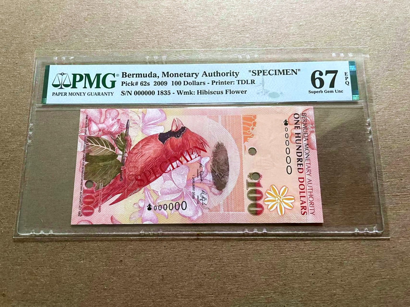 【Blue Auction】✨世界纸币精拍第427期【精】   【样钞 洋葱冠】百慕大 2009年100元 PMG67EPQ 高分 