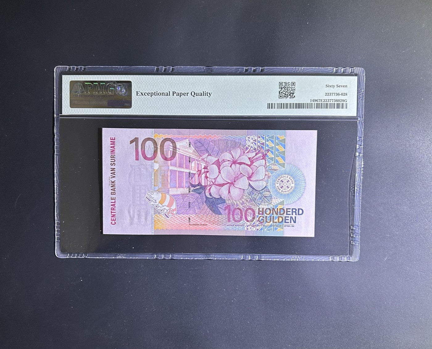 【丑猫0201】今晚六点半 苏里南100