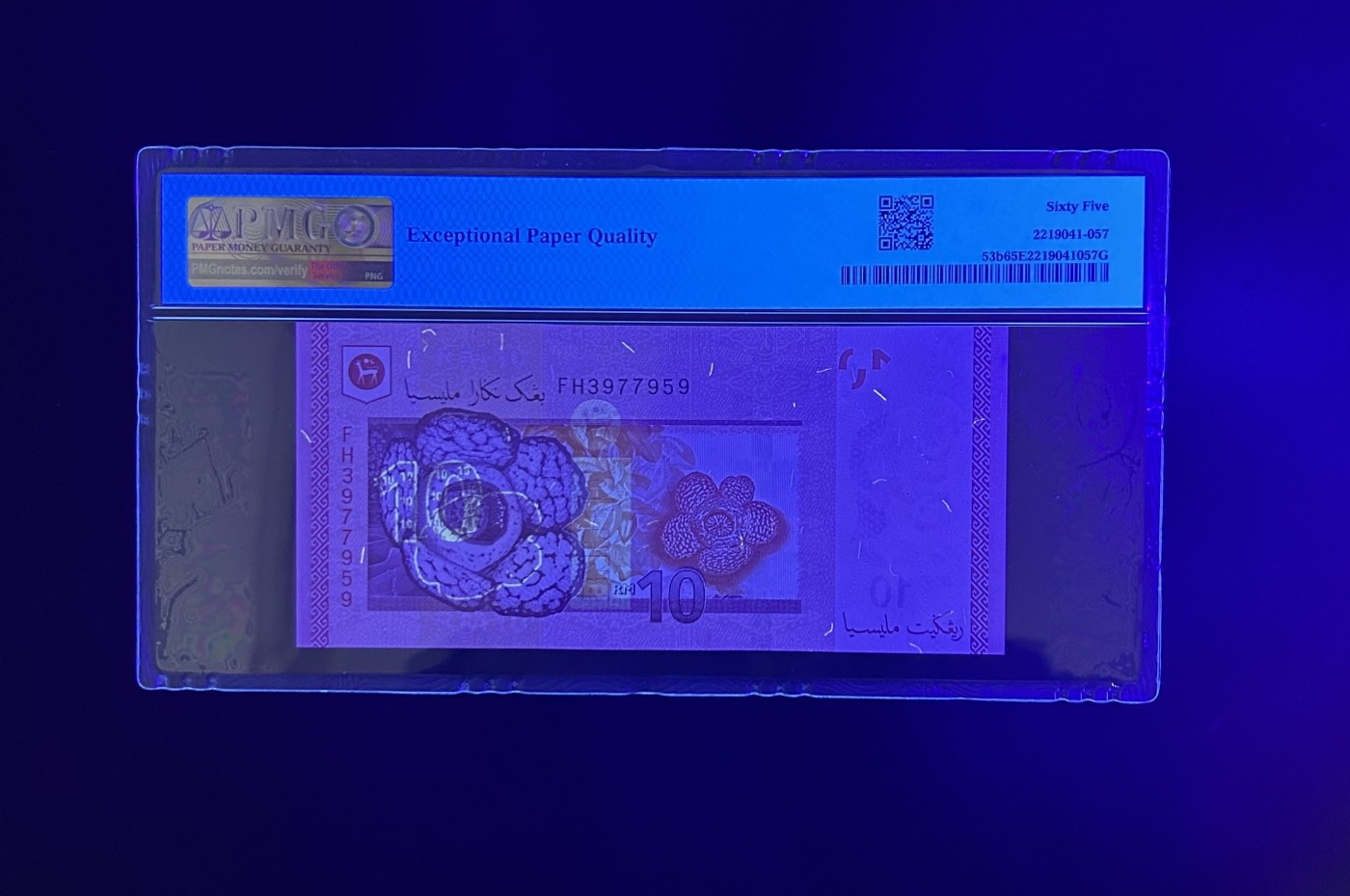 【丑猫0201】今晚六点半 马来西亚10