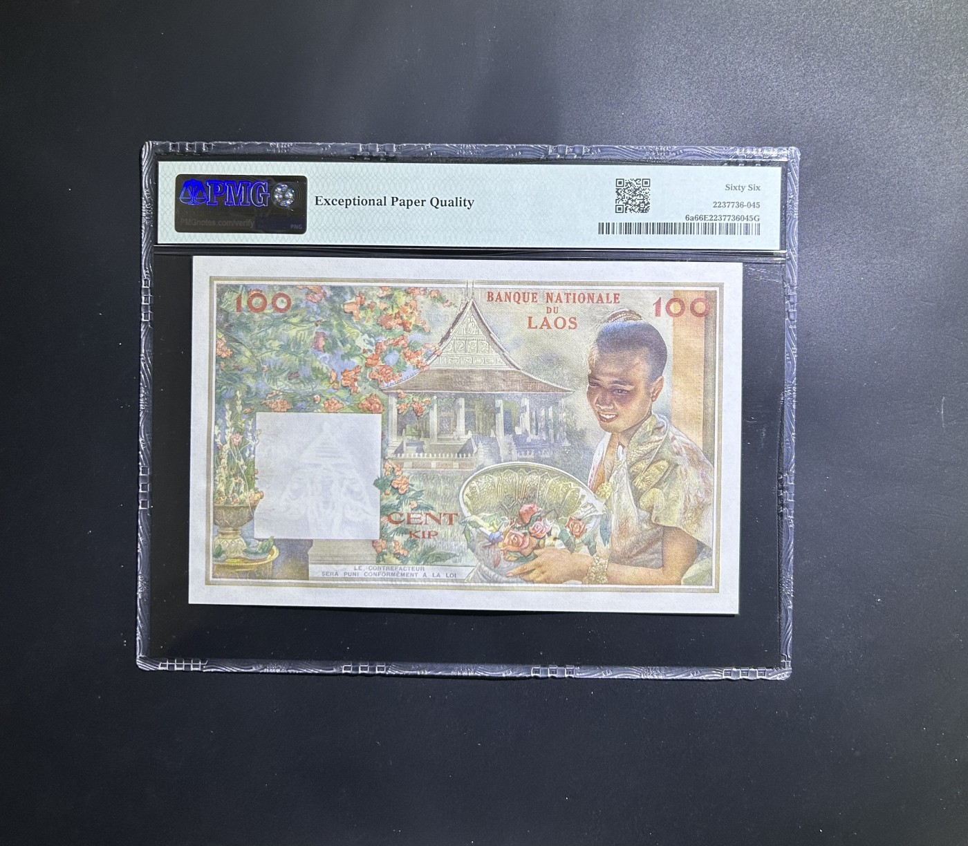 【丑猫0201】今晚六点半 老挝猪哥