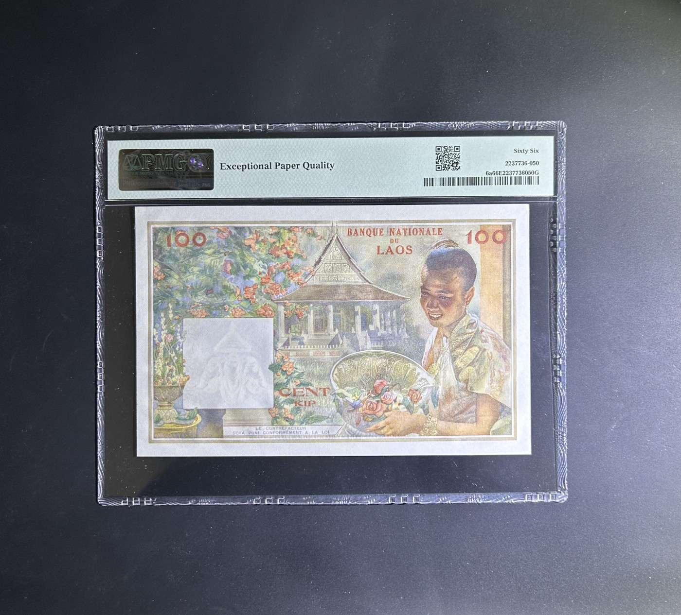 【丑猫0201】今晚六点半 老挝猪哥