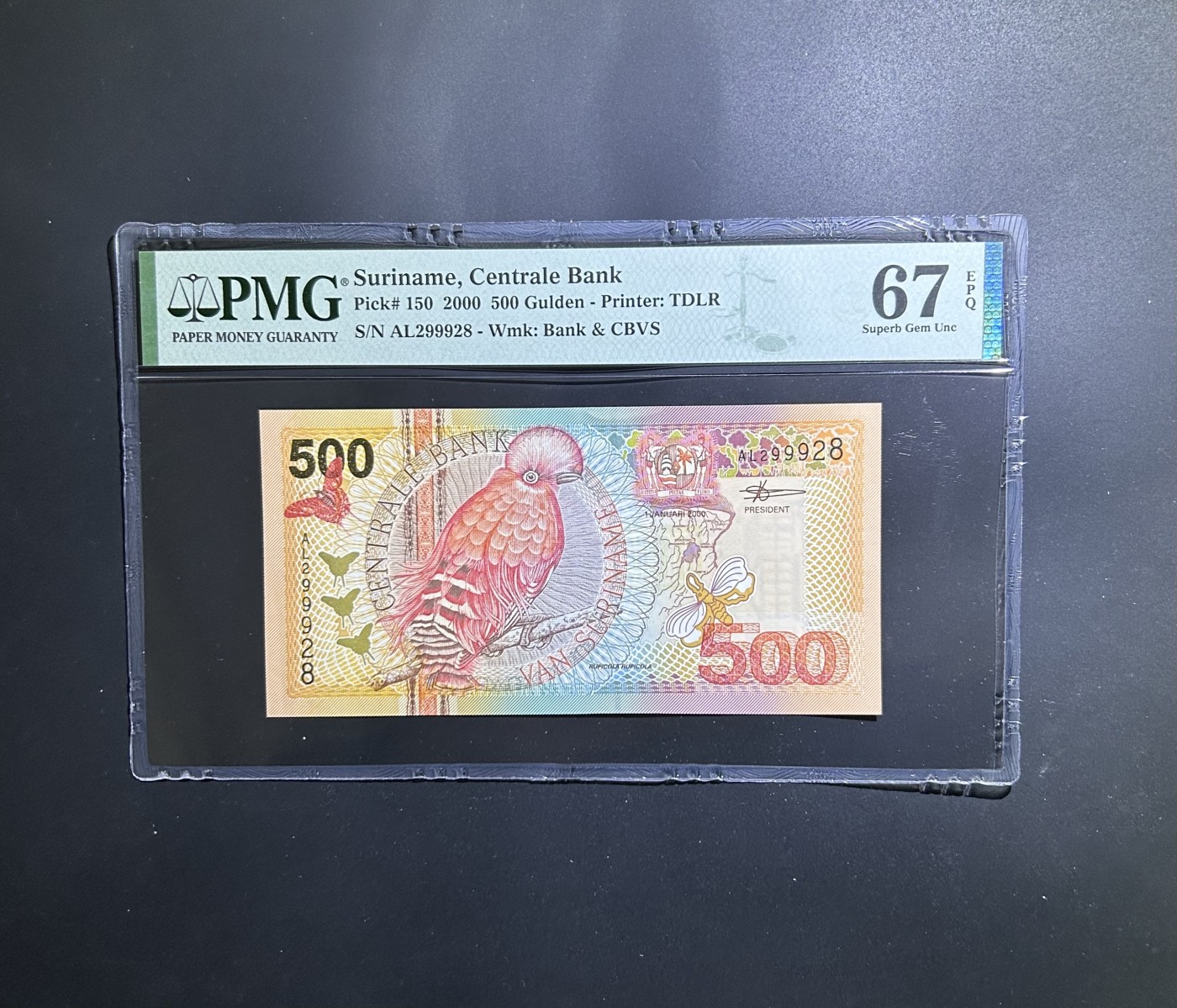 【丑猫0201】今晚六点半 苏里南500【299928】