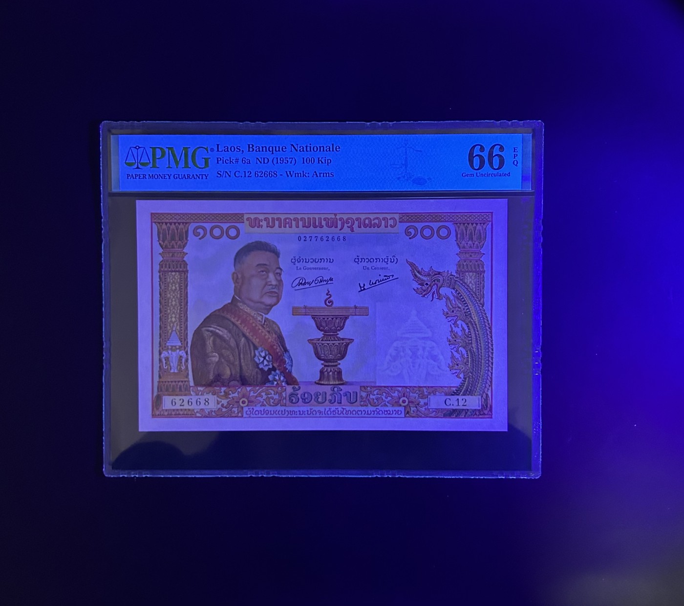 【丑猫0201】今晚六点半 老挝猪哥