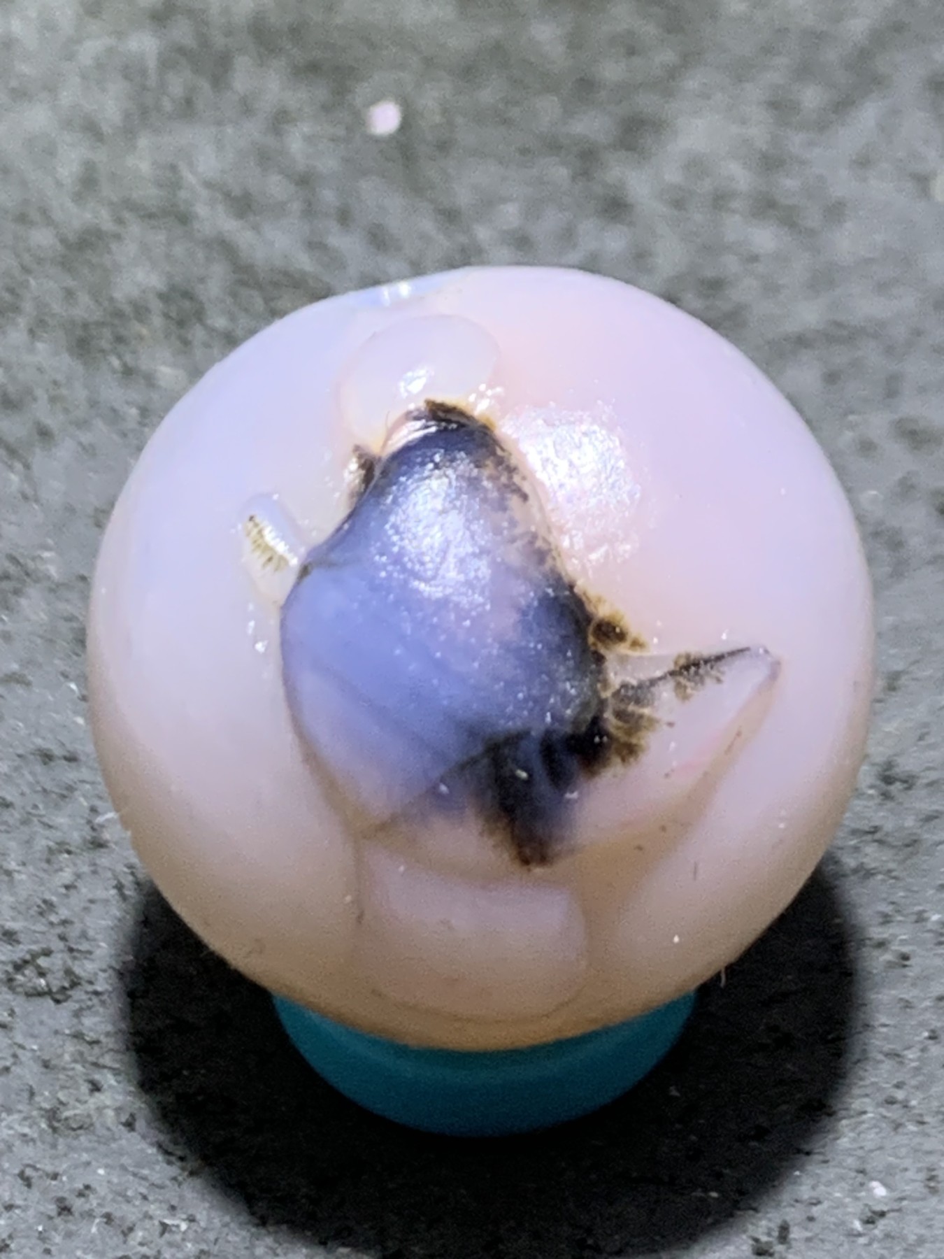 精美高玉化亚光海洋玉髓手工俏色巧雕一心向佛随形圆珠一个！