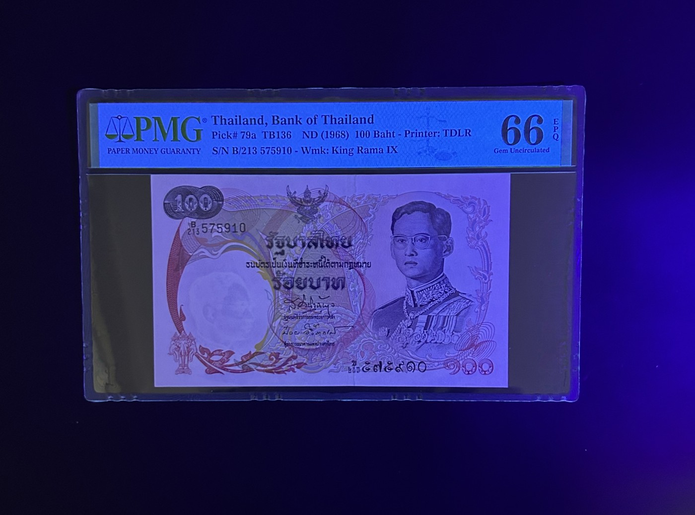 【丑猫0201】今晚六点半 名誉品.天鹅船