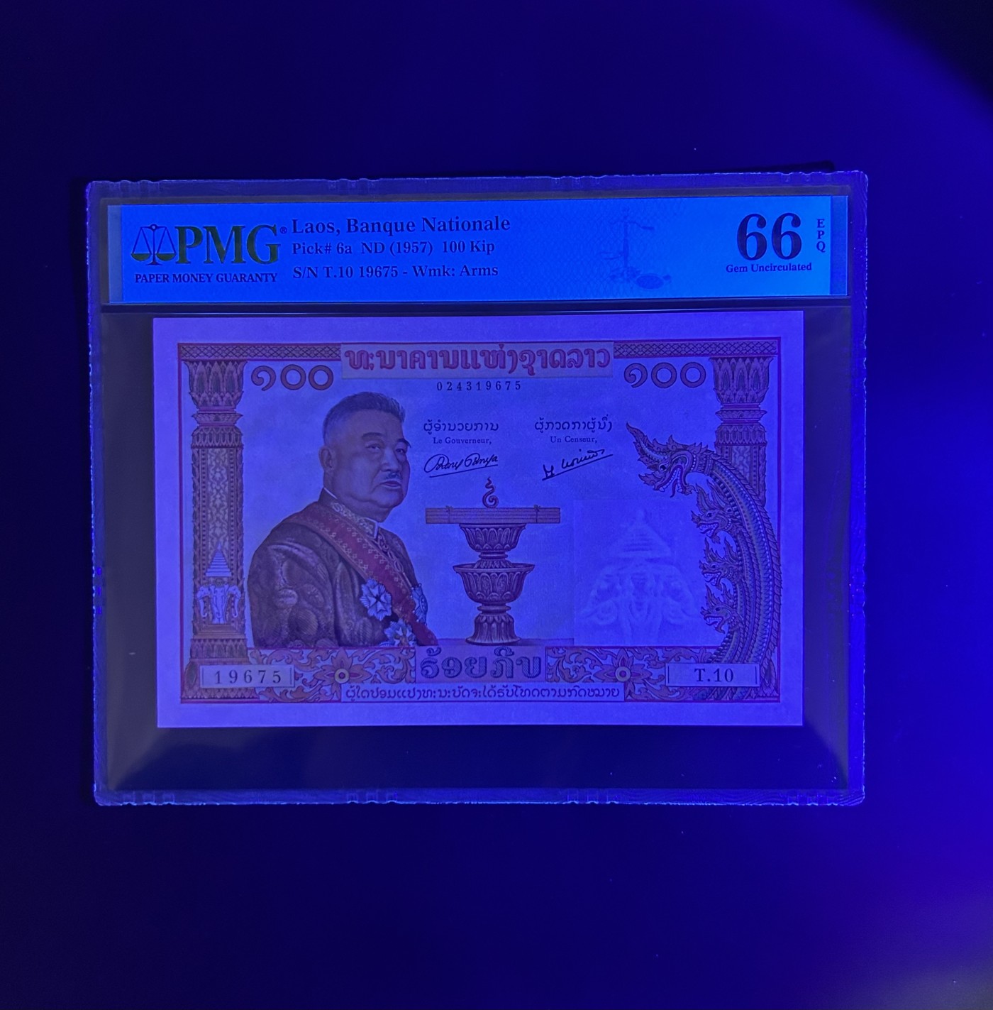 【丑猫0201】今晚六点半 老挝猪哥