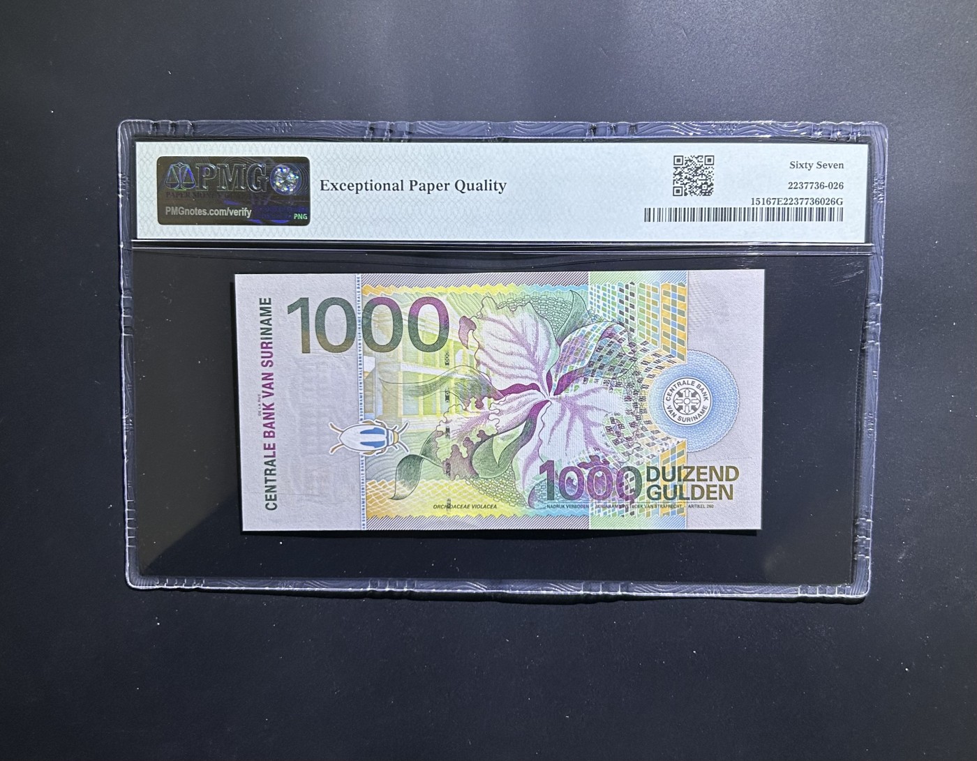 【丑猫0612】今晚7点整 苏里南1000