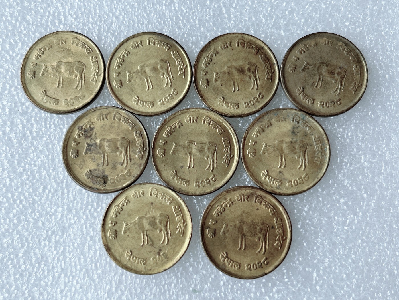 第一海外回流一元起拍收藏 散币专场 第62期 尼泊尔10派沙 9枚